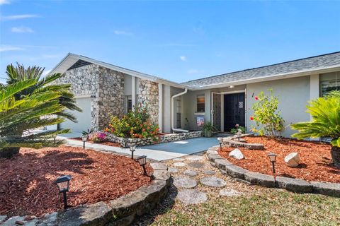 A home in PALM COAST