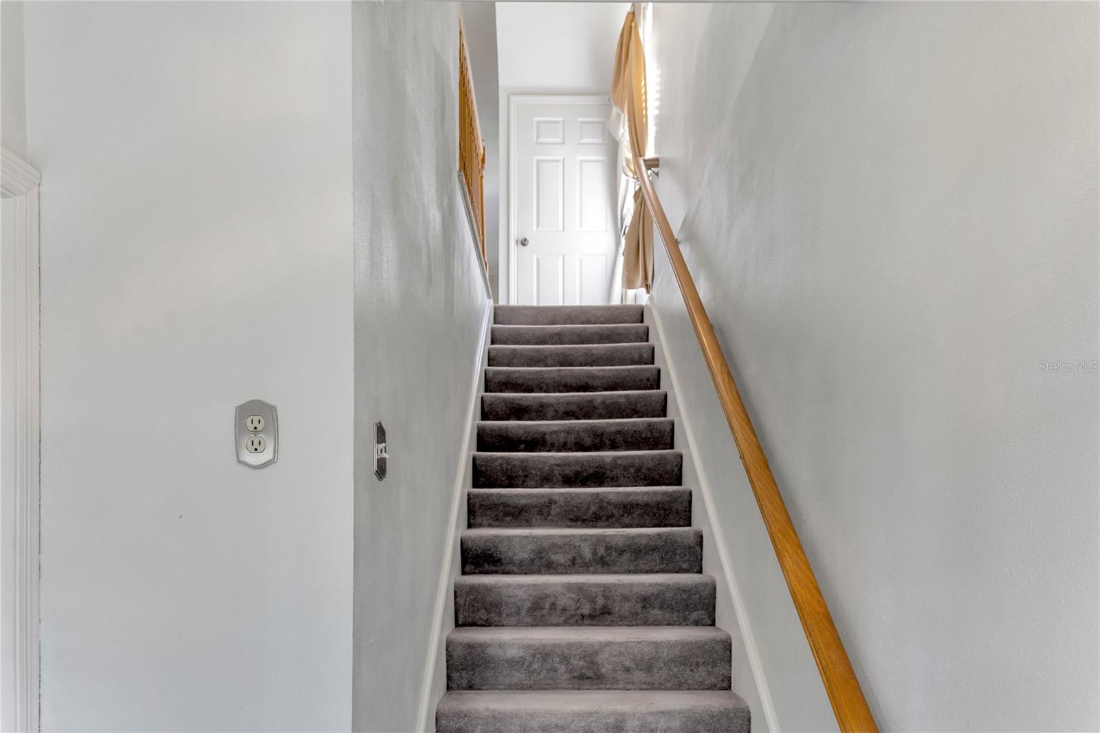 PALM COVE - Residential