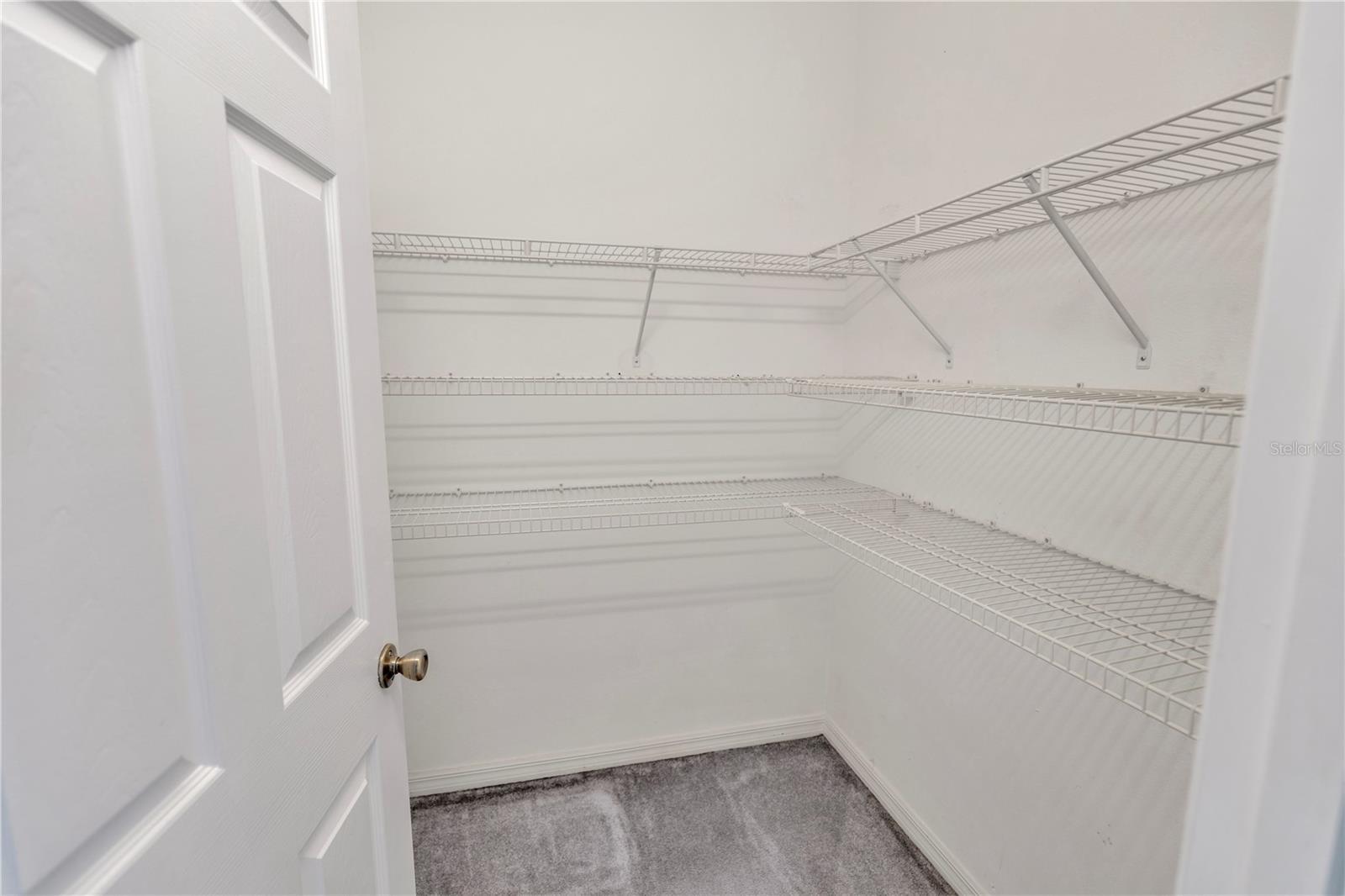 PALM COVE - Residential