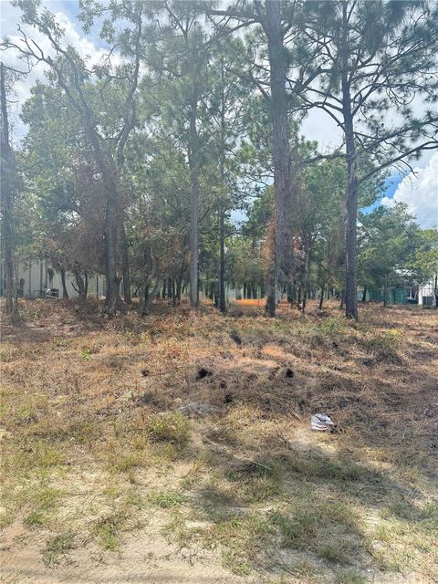13786 LINDEN DRIVE SPRING HILL FL 34609
