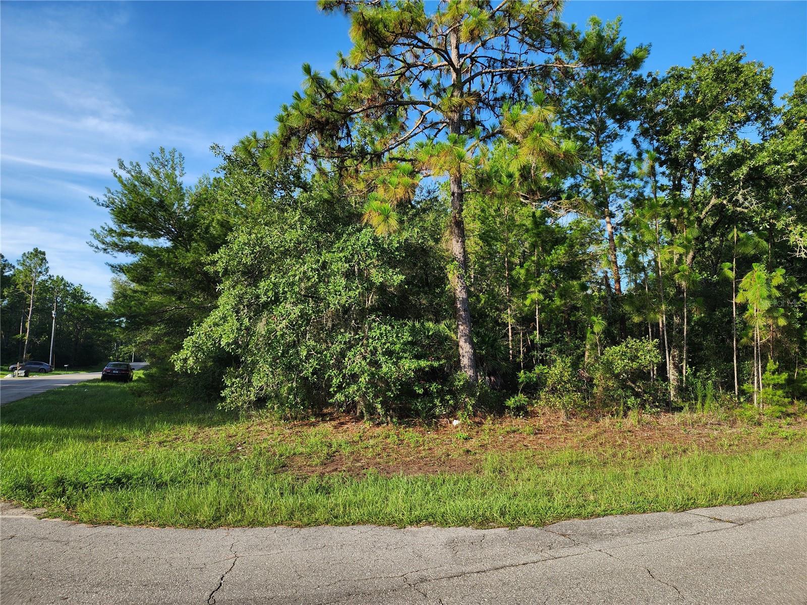 Great Corner building lot near newer homes in desirable location of Marion Oaks.