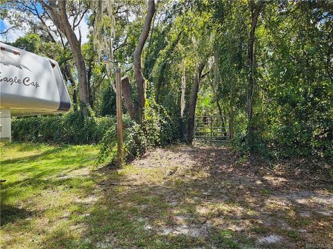 A home in HOMOSASSA