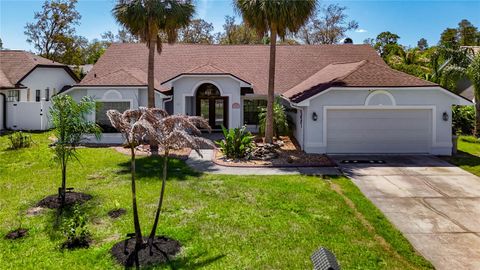 Photo of 8208 Rhanbuoy Road, Spring Hill, FL 34606 (MLS # TB8348388)