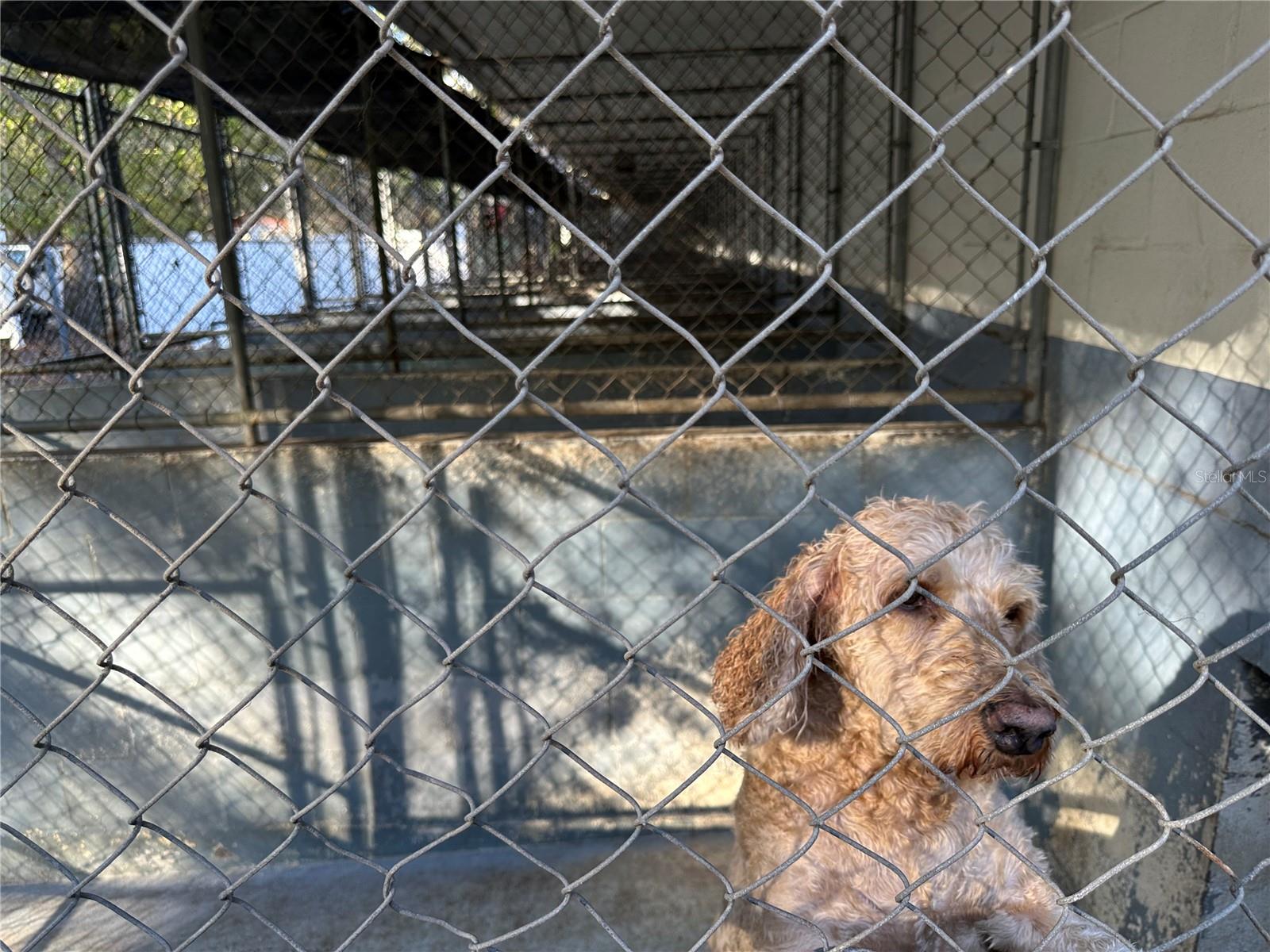 SPRING LAKE AREA - Residential