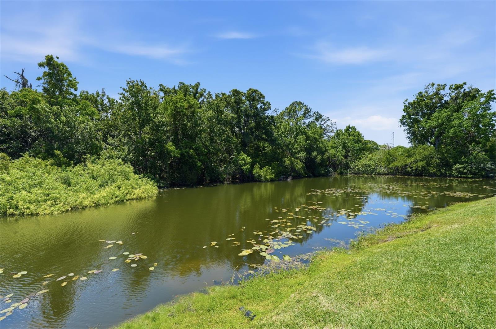 HUNTERS GLEN CONDO - Residential