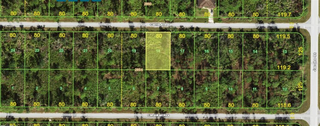 Photo of 13461 Carrie Avenue, Port Charlotte, FL 33953 (MLS # T3508634)