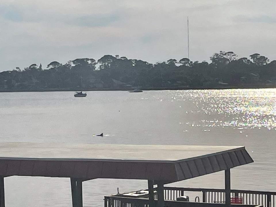 RIVERSIDE CONDO - Residential Lease