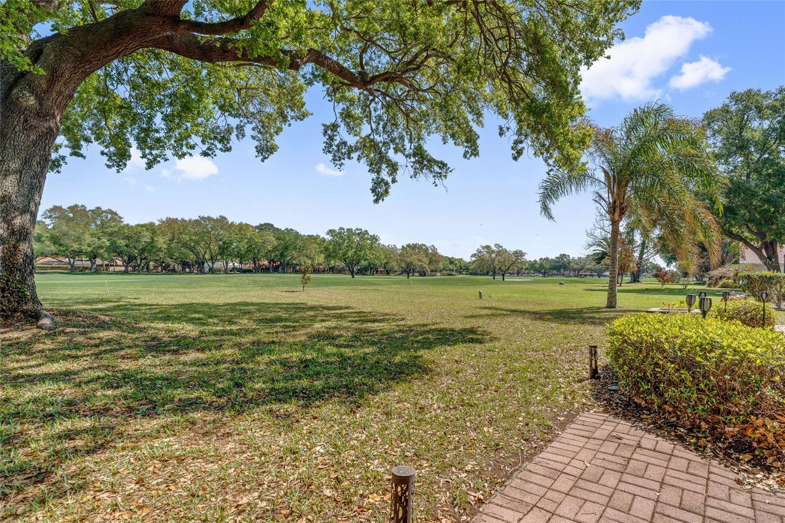 ORANGE TREE COUNTRY CLUB - Residential