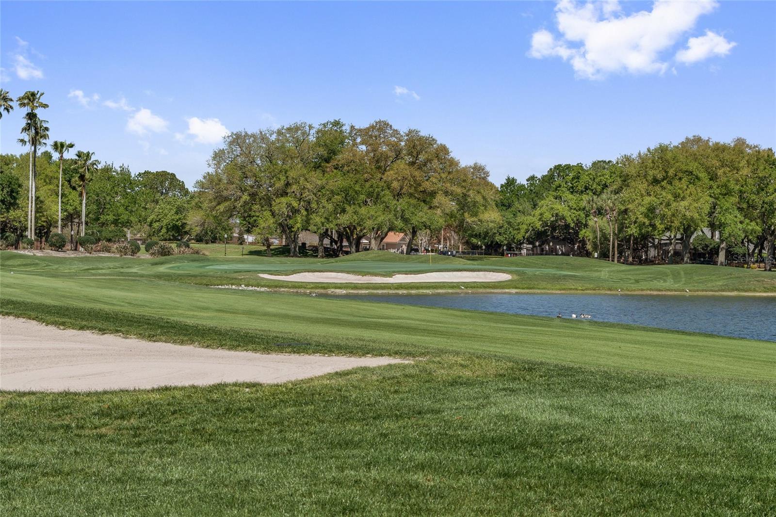 ORANGE TREE COUNTRY CLUB - Residential