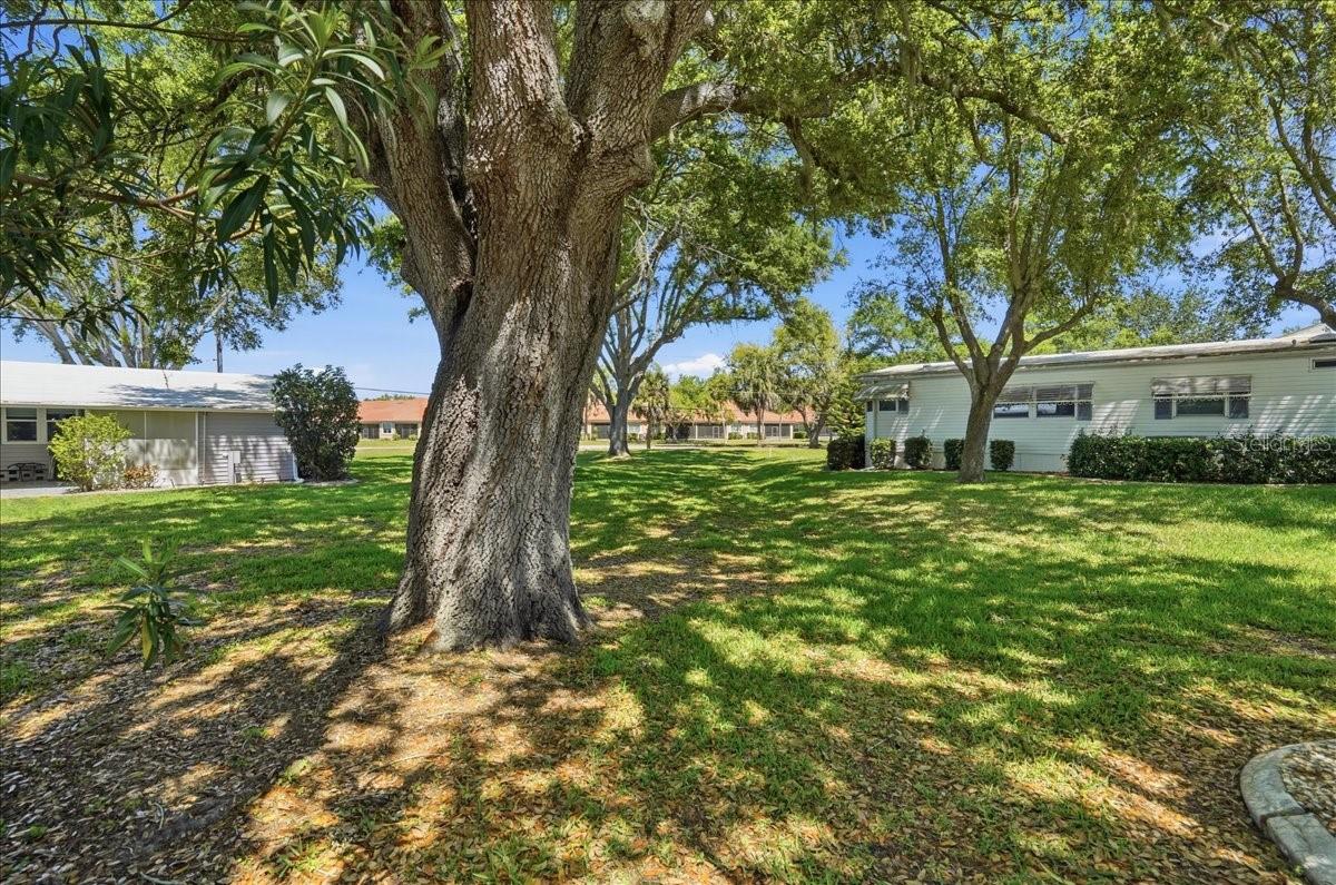 IMPERIAL LAKES ESTATES - Residential