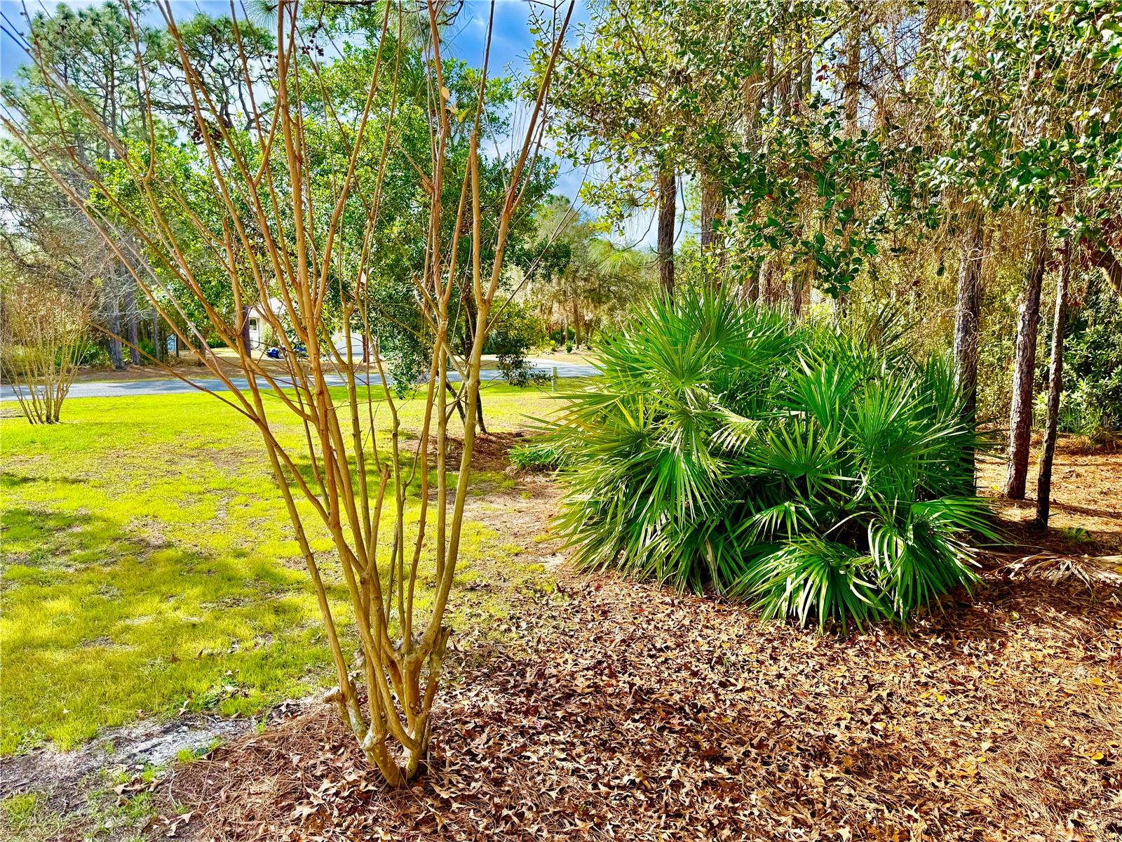 PINE RIDGE - Residential