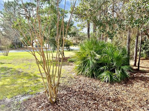 Tiny photo for 5263 W Yuma Lane, Beverly Hills, FL 34465 (MLS # OM716703)