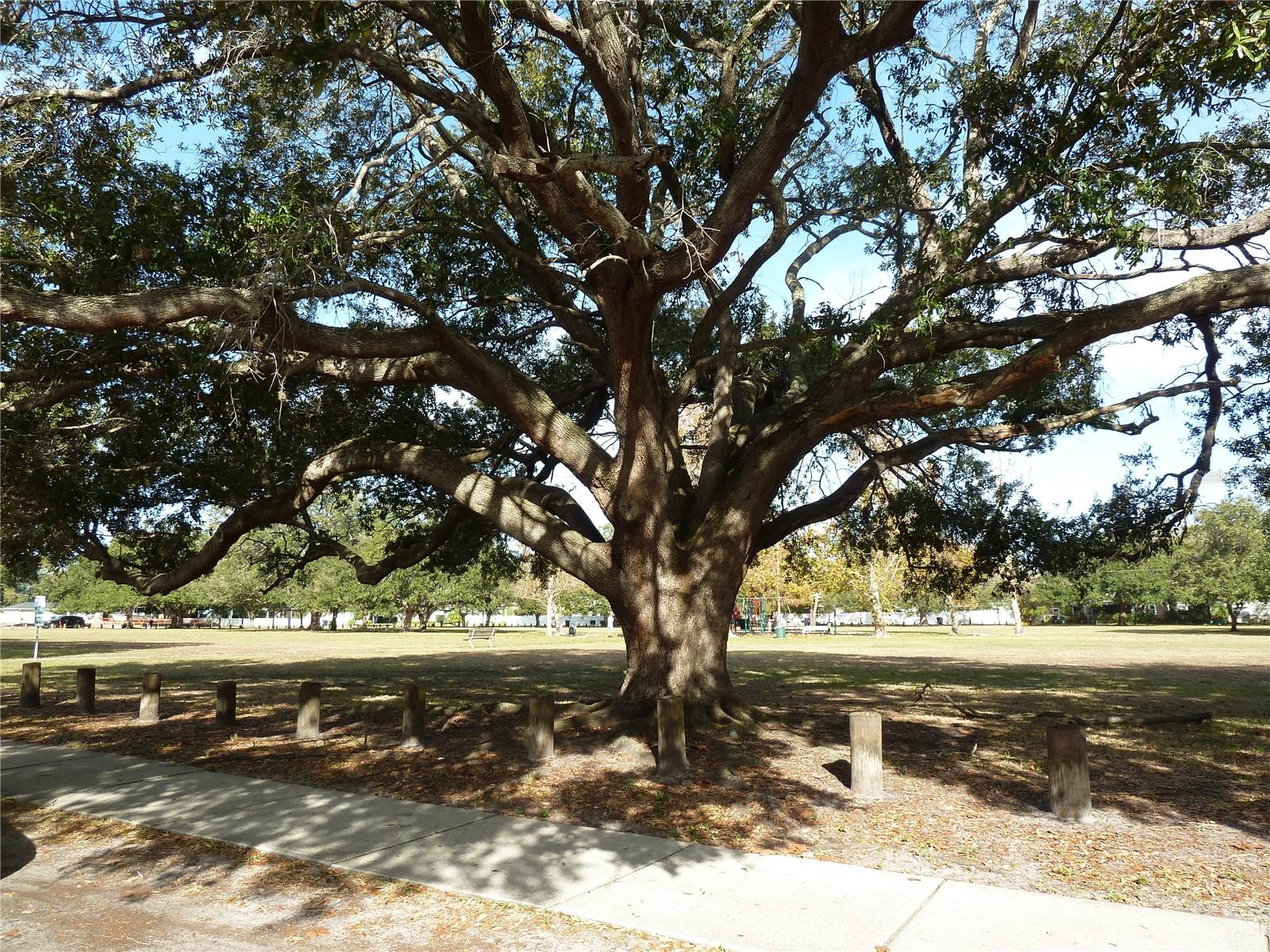 SUAREZ SUB - Residential