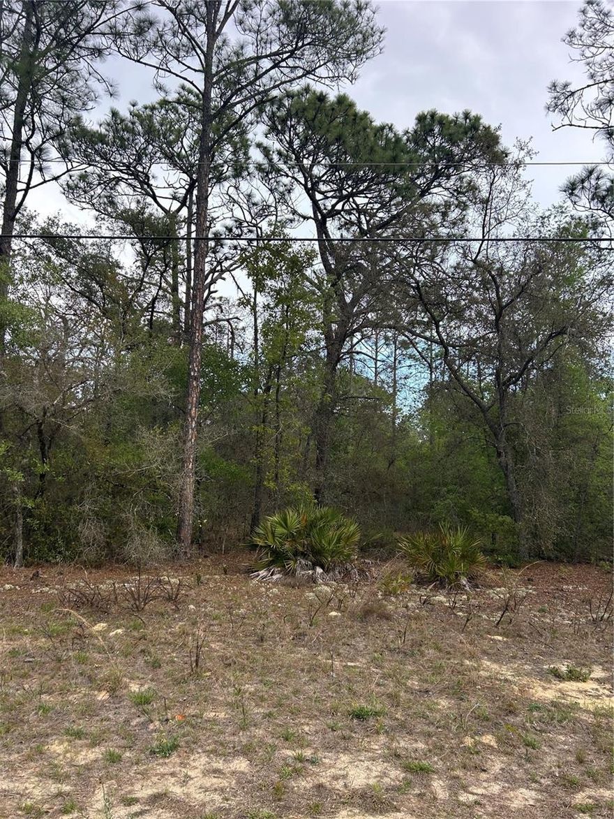 !!!!!!!!!!!!!!!!!OPORTUNITY!!!!!!!!!!!!!!!!!!!!!!!!
EXCELLENT OPORTUNITY to own a 0.26 acre residential lot in the growing community of Citurs Springs. This property offers the perfect setting to build your dream home or invest in an area known for its natural beauty, quiet surroundings, and convinient acess to shopping, schools, parks, and major roadways. NO HOA. Enjoy the charm of FLORIDA living with nearby golf courses, trails, and outdoor recreation.