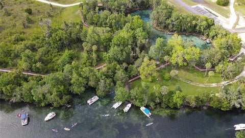 Tiny photo for 1180 E Cleveland Street, Hernando, FL 34442 (MLS # OM728053)
