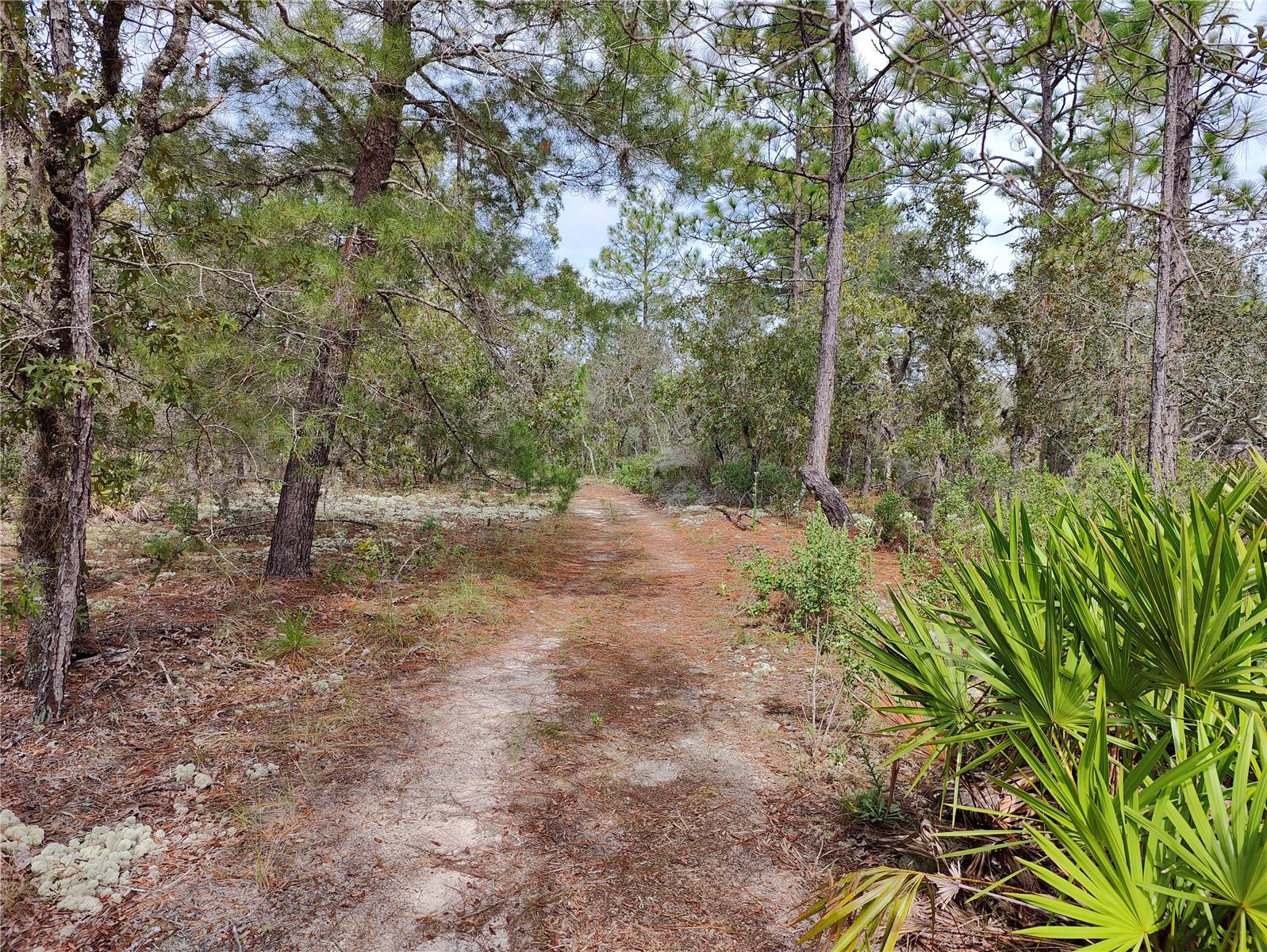 PINE RIDGE UNIT 03 - Land