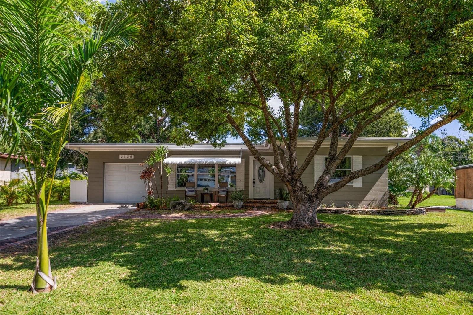 Welcome to this beautifully updated 2-bedroom, 1-bathroom home with a garage, perfectly blending charm and modern upgrades. Freshly painted inside and out, this home features brand new luxury vinyl flooring throughout, an updated kitchen, and a stylishly renovated bathroom. Situated on a large fenced lot, the property offers unique touches, including a custom stone planters, a brick entryway, and a driveway crafted with bricks salvaged from the historic Belleview-Biltmore Hotel. Major systems have been well cared for, with a roof replaced in 2016 that carries a transferable warranty until 2031, an HVAC system from 2018, and a water heater installed in 2021. Located within minutes to many parks, such as the newly redesigned Del Oro Park with pickleball courts, a playground, and basketball courts, while the Ream Wilson Trail invites outdoor enthusiasts to explore scenic routes leading to Safety Harbor or Tampa via the Courtney Campbell Causeway. At Cooper’s Bayou Park, residents can enjoy fishing, trails, an exercise course, and a launch for kayaks or canoes. Take a stroll along Bayshore to downtown Safety Harbor and enjoy Main Street dining, boutique shopping, breweries, museums, live music, and year-round festivals, including the Third Friday Street Festival and Sunday Farmers Market. The Safety Harbor Marina and world-renowned Safety Harbor Resort and Spa are just minutes away. Tampa International Airport and St. Pete–Clearwater International Airport are within 15 minutes, making travel a breeze. Best of all, this home is not in a required flood insurance zone!