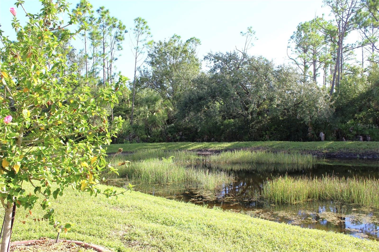 CYPRESS FALLS PH 1C - Residential