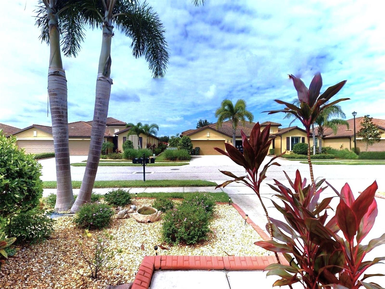 2444 DAISY DRIVE