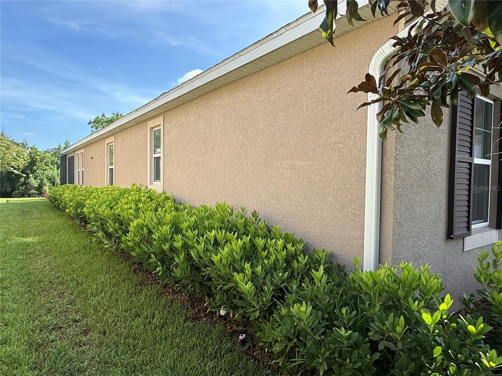 33193 SHADOW BRANCH LANE