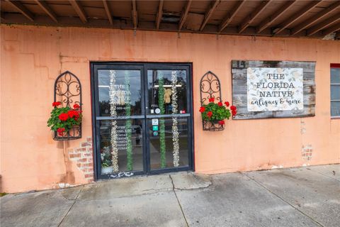 Tiny photo for 15 S Market Boulevard, Webster, FL 33597 (MLS # G5090962)