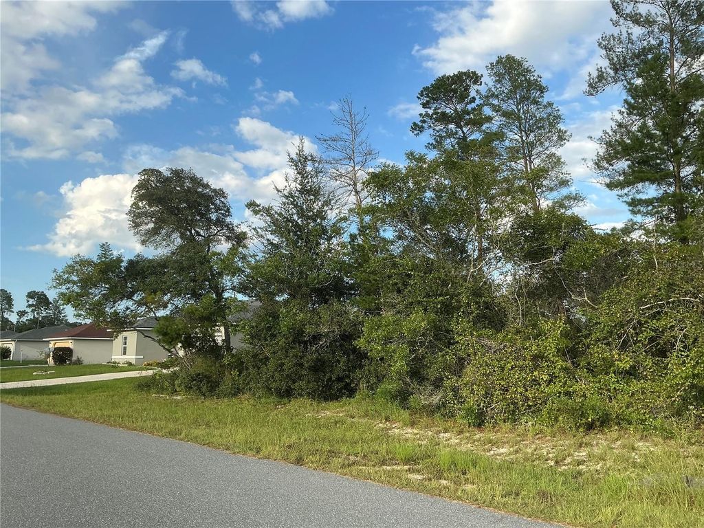 Photo of SW 35th Ave Road, Ocala, FL 34473 (MLS # OM710802)