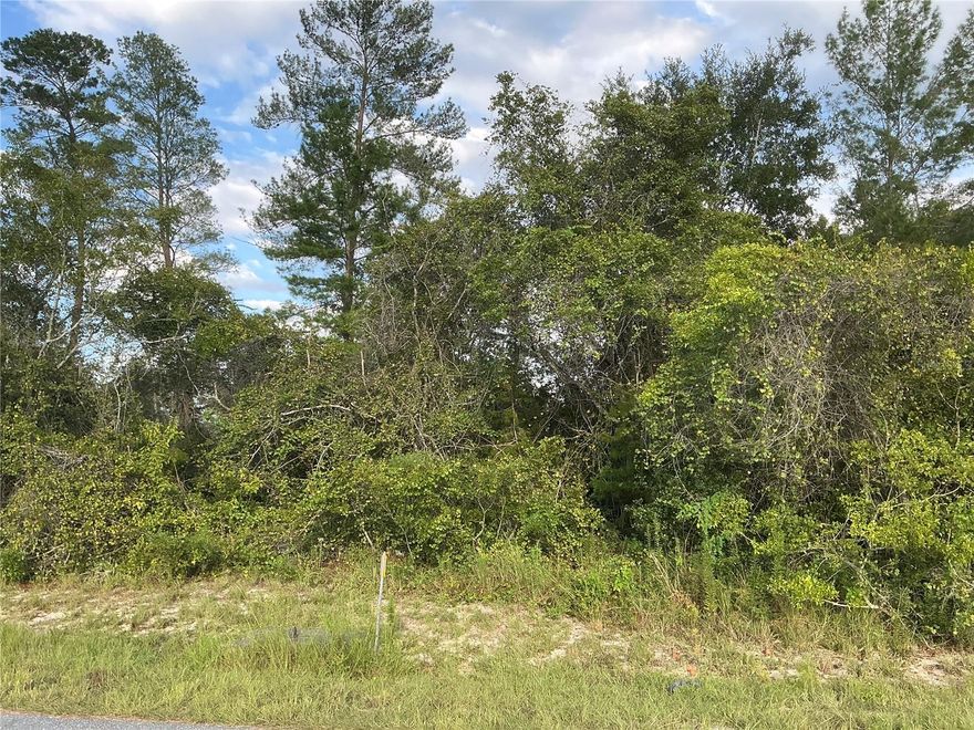 Situated in the heart of Marion Oaks, this residential lot measures 90 by 125 feet, located outside the flood zone, with no wetlands or endangered species, and water available. Marion Oaks is located south of downtown Ocala and next to I-75 for easy access to the Orlando suburbs. Marion Oaks has plenty to do for nature lovers including natural springs, state forests, mudding, and biking trails. Marion Oaks is exploding with development due to low housing prices and cheap land. Walmart and shops are just 10 minutes away. Silver Springs Shores, one of the largest artesian spring formations in the world, is just 20 minutes away. Just 20 minutes to downtown Ocala, and 1 hour to downtown Orlando.