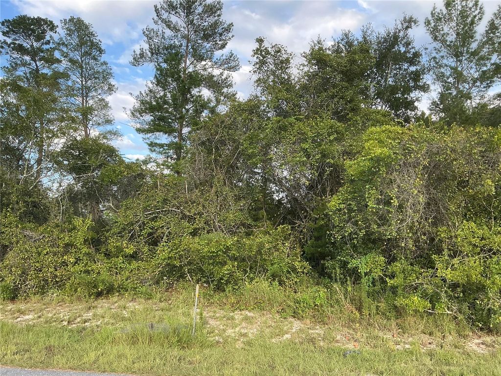 Photo of SW 35th Ave Road, Ocala, FL 34473 (MLS # OM710802)