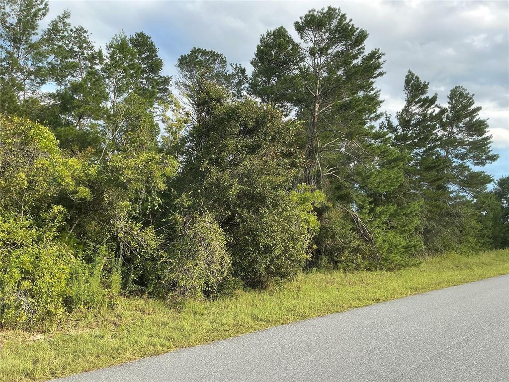 Photo of SW 35th Ave Road, Ocala, FL 34473 (MLS # OM710802)
