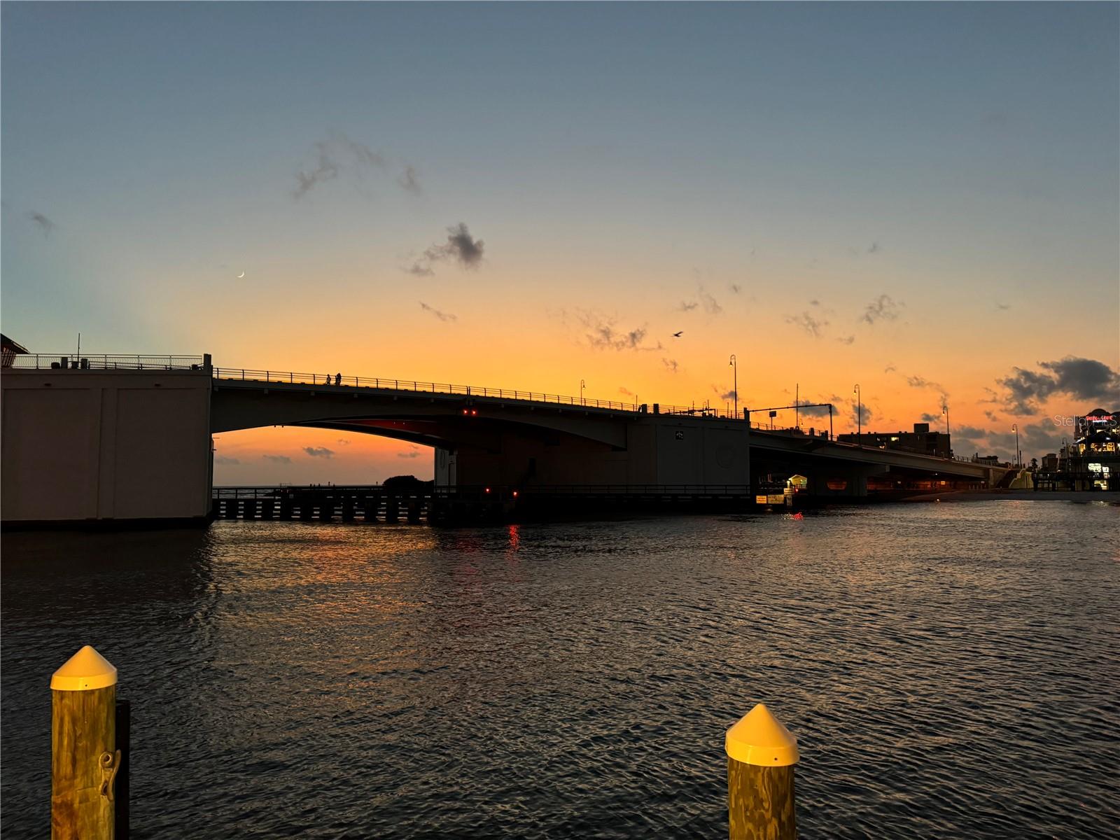 11650 CAPRI CIRCLE S 204