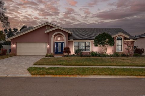 A home in SAFETY HARBOR