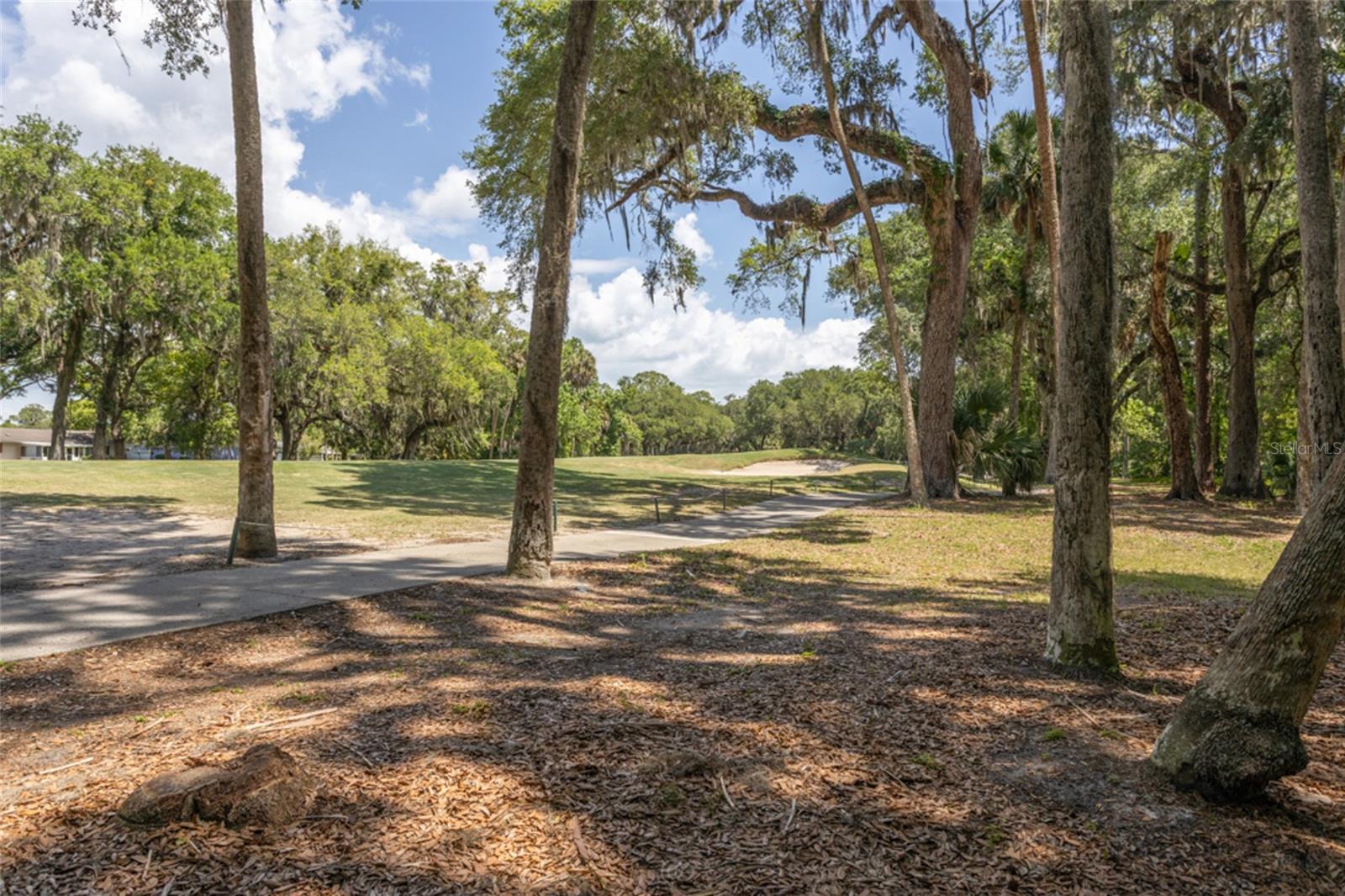 PALM COAST FAIRWAYS CONDO - Residential