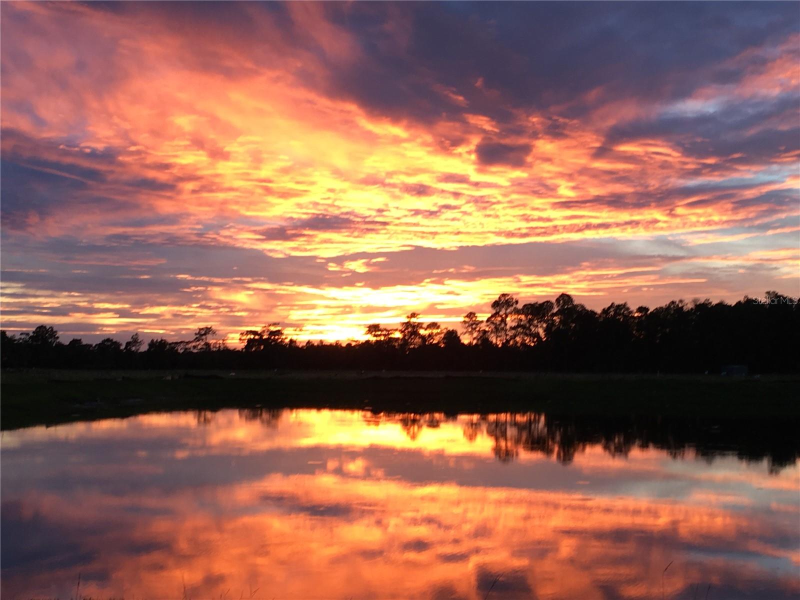 VICTORIA GARDENS PH 4 - Residential