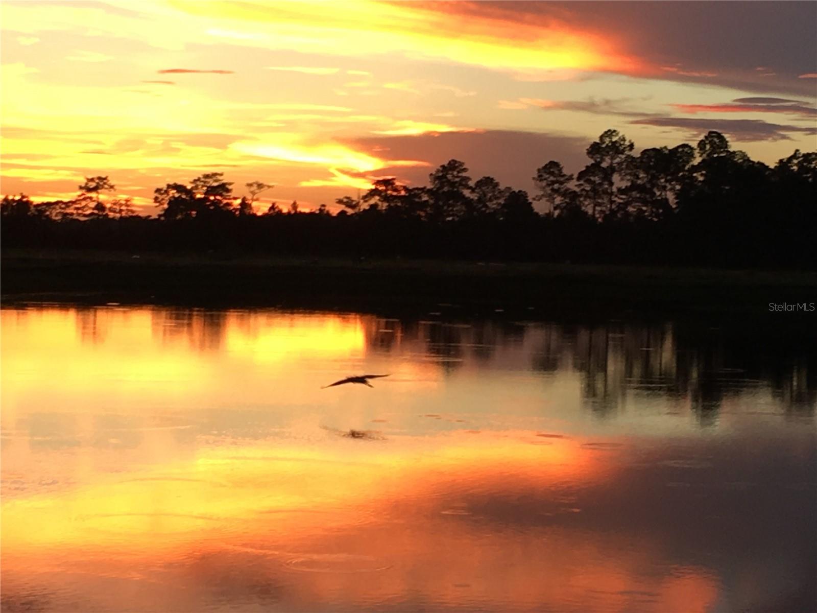 VICTORIA GARDENS PH 4 - Residential