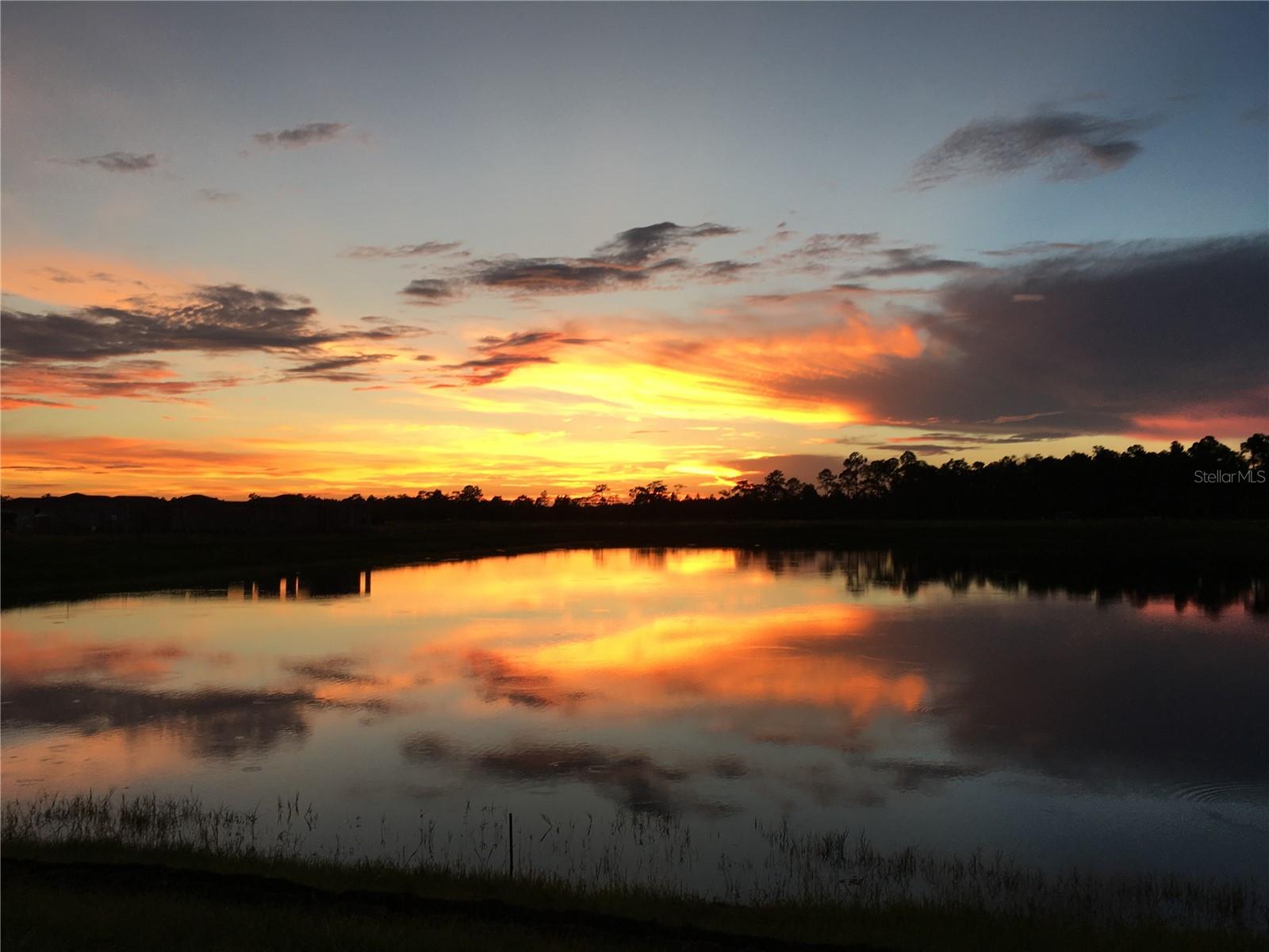 VICTORIA GARDENS PH 4 - Residential