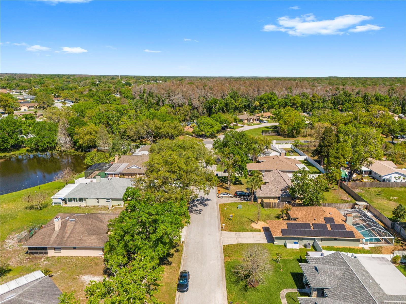 LAKE PADGETT - Residential