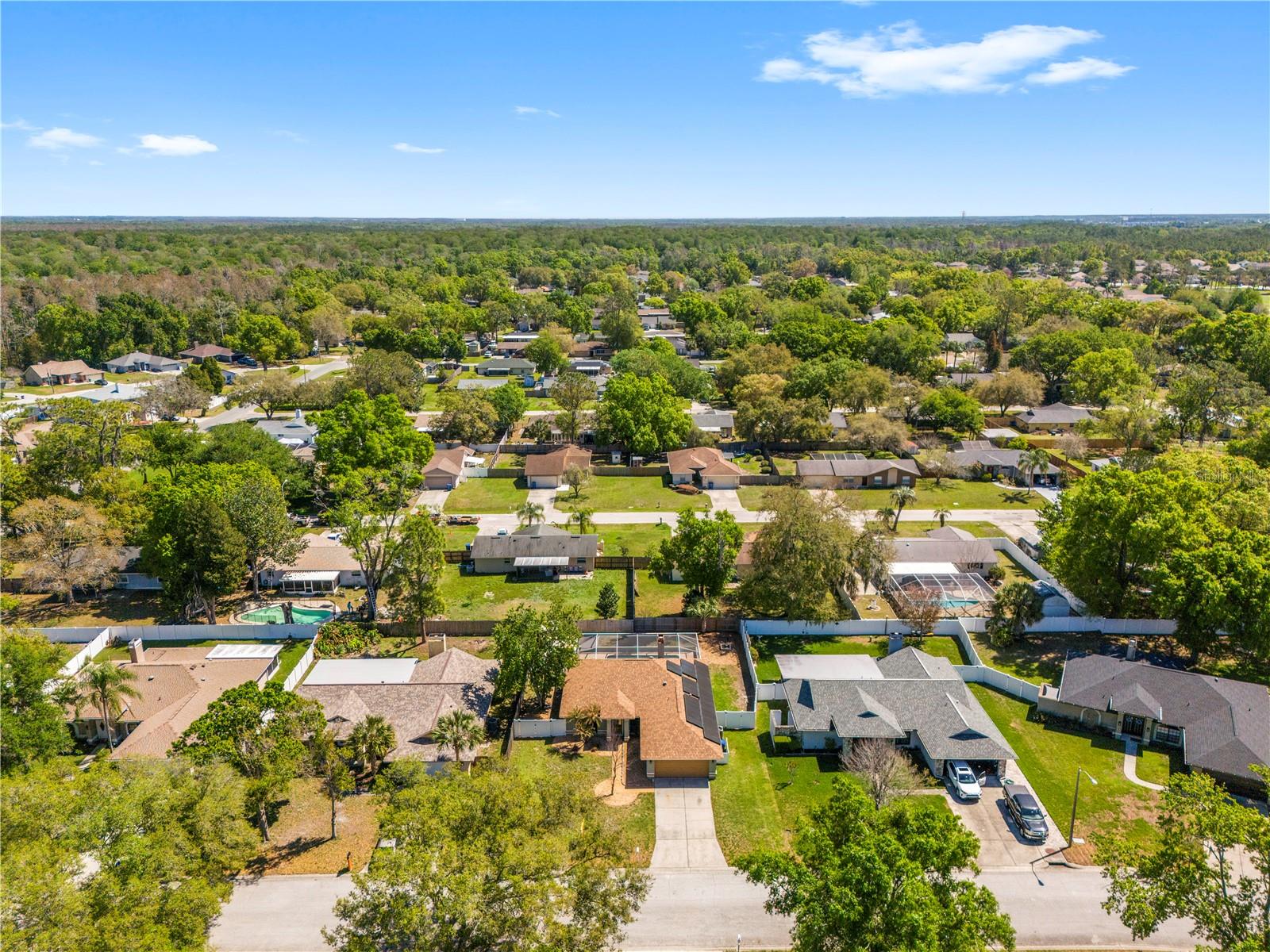 LAKE PADGETT - Residential
