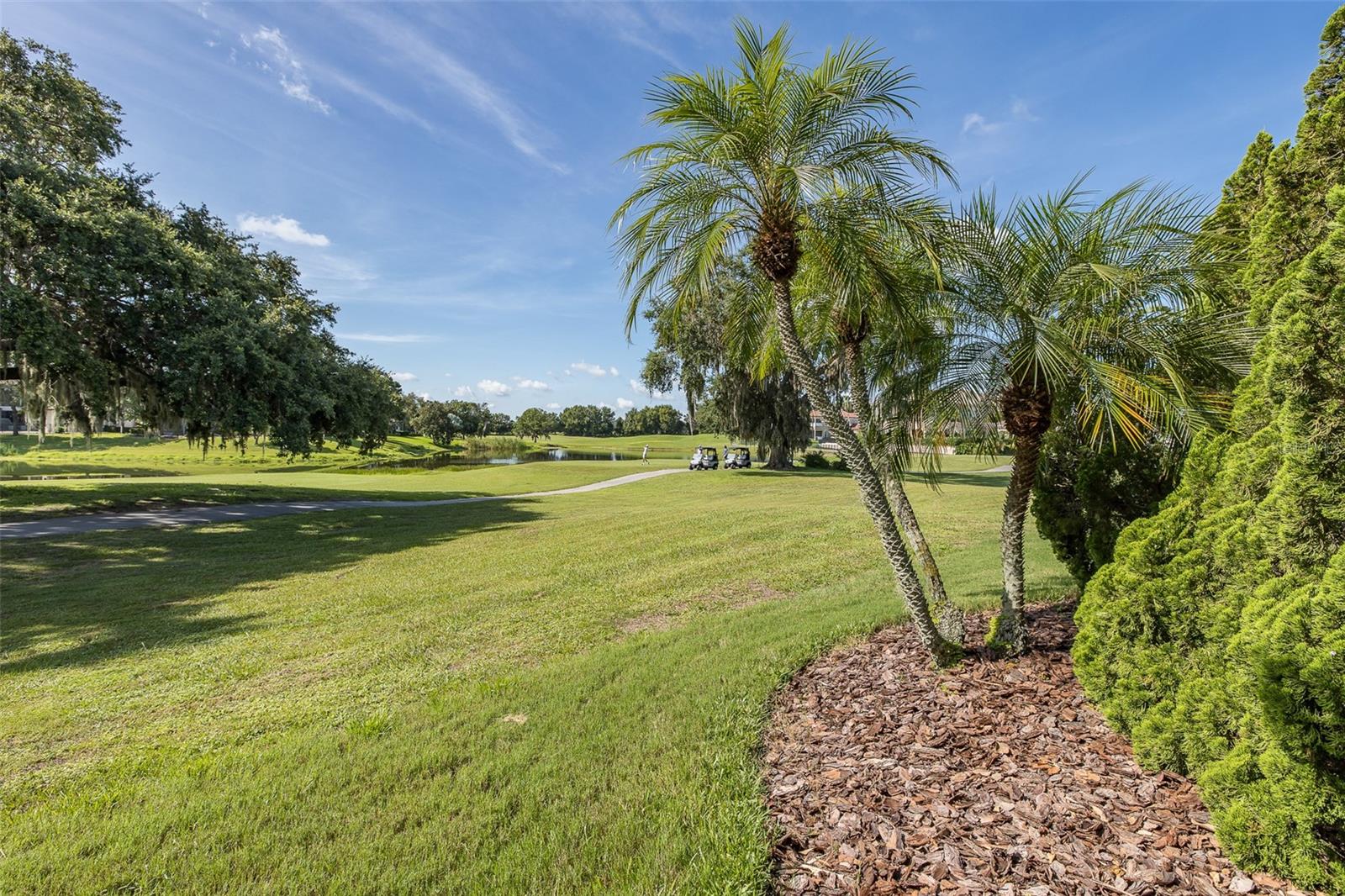 CHAMPIONS CLUB - Residential