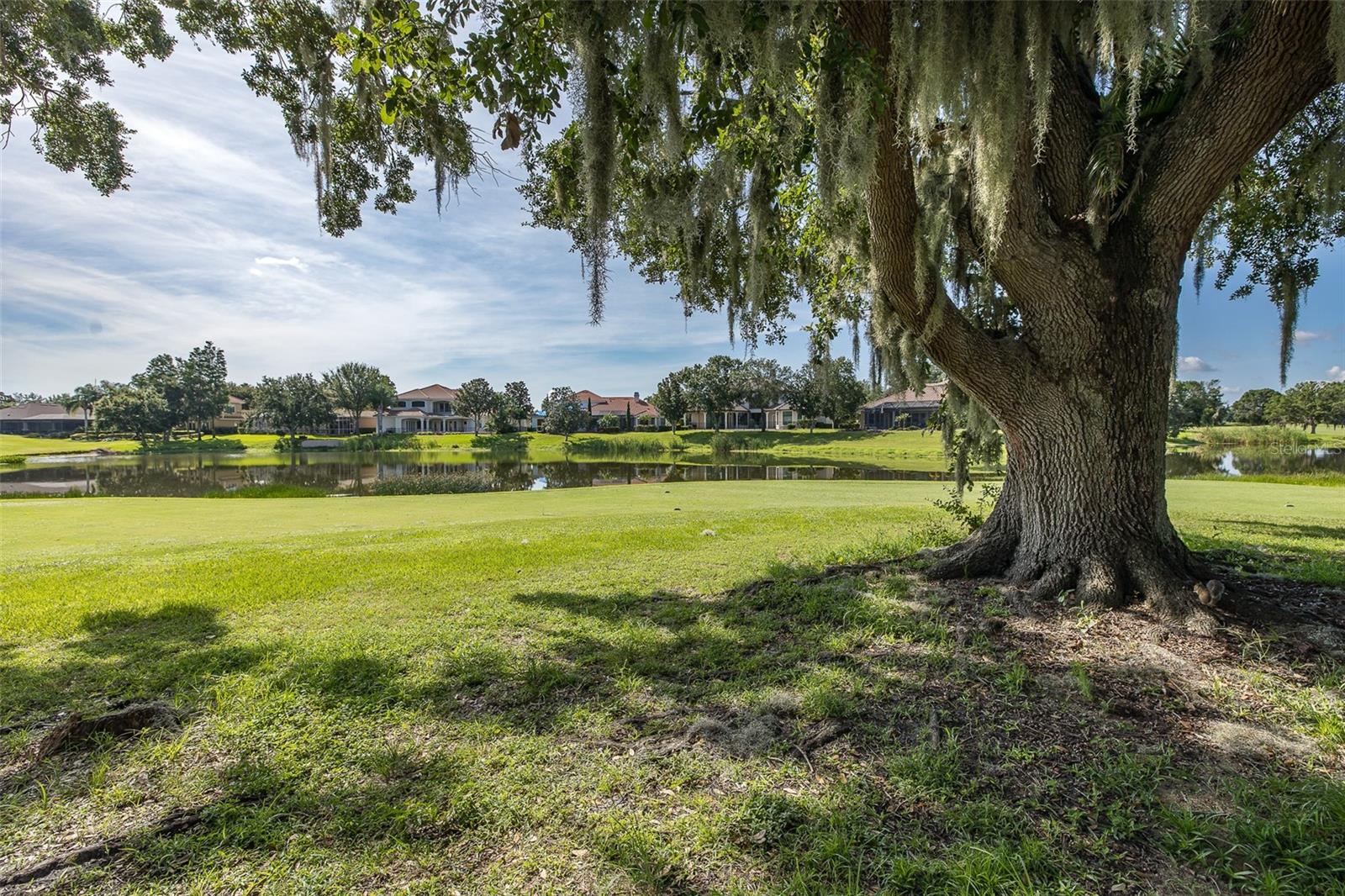 CHAMPIONS CLUB - Residential