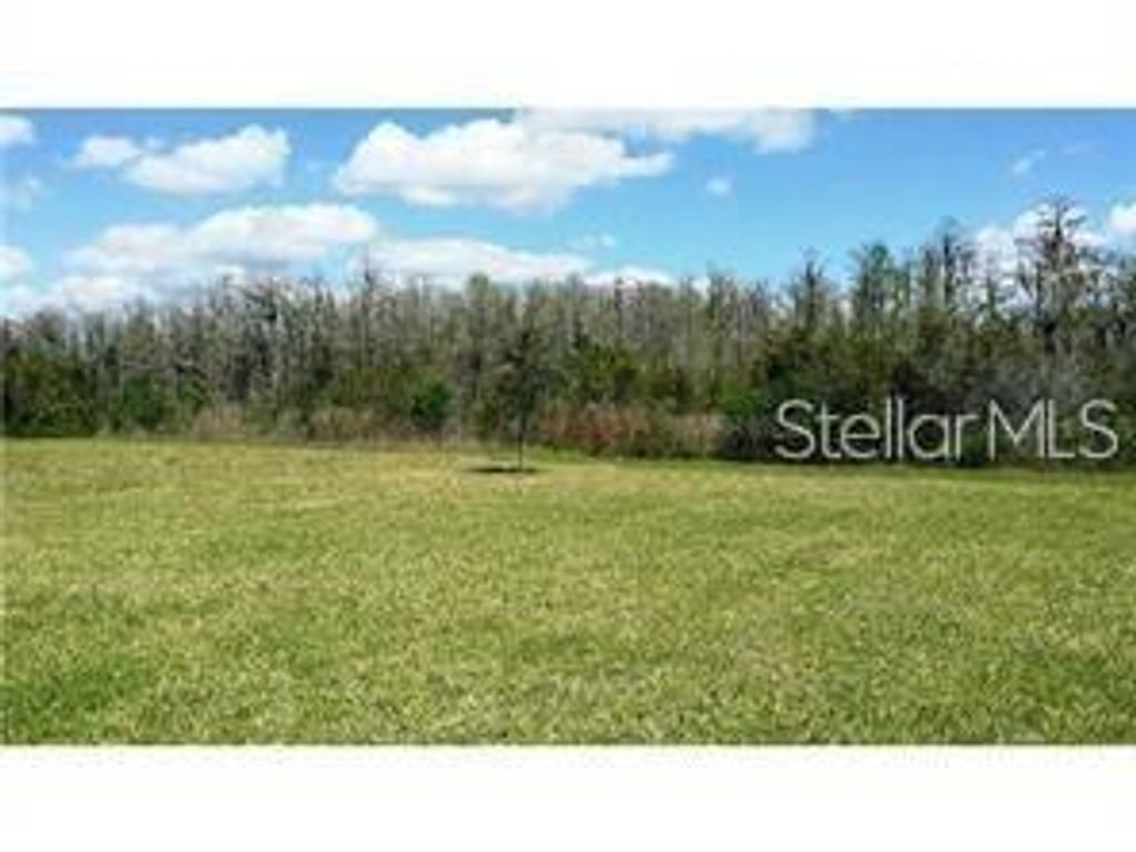 Photo of 3125 Queen Alexandria Drive, Kissimmee, FL 34744 (MLS # O6373266)