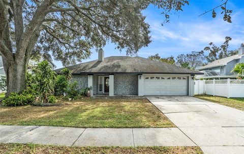 A home in TAMPA