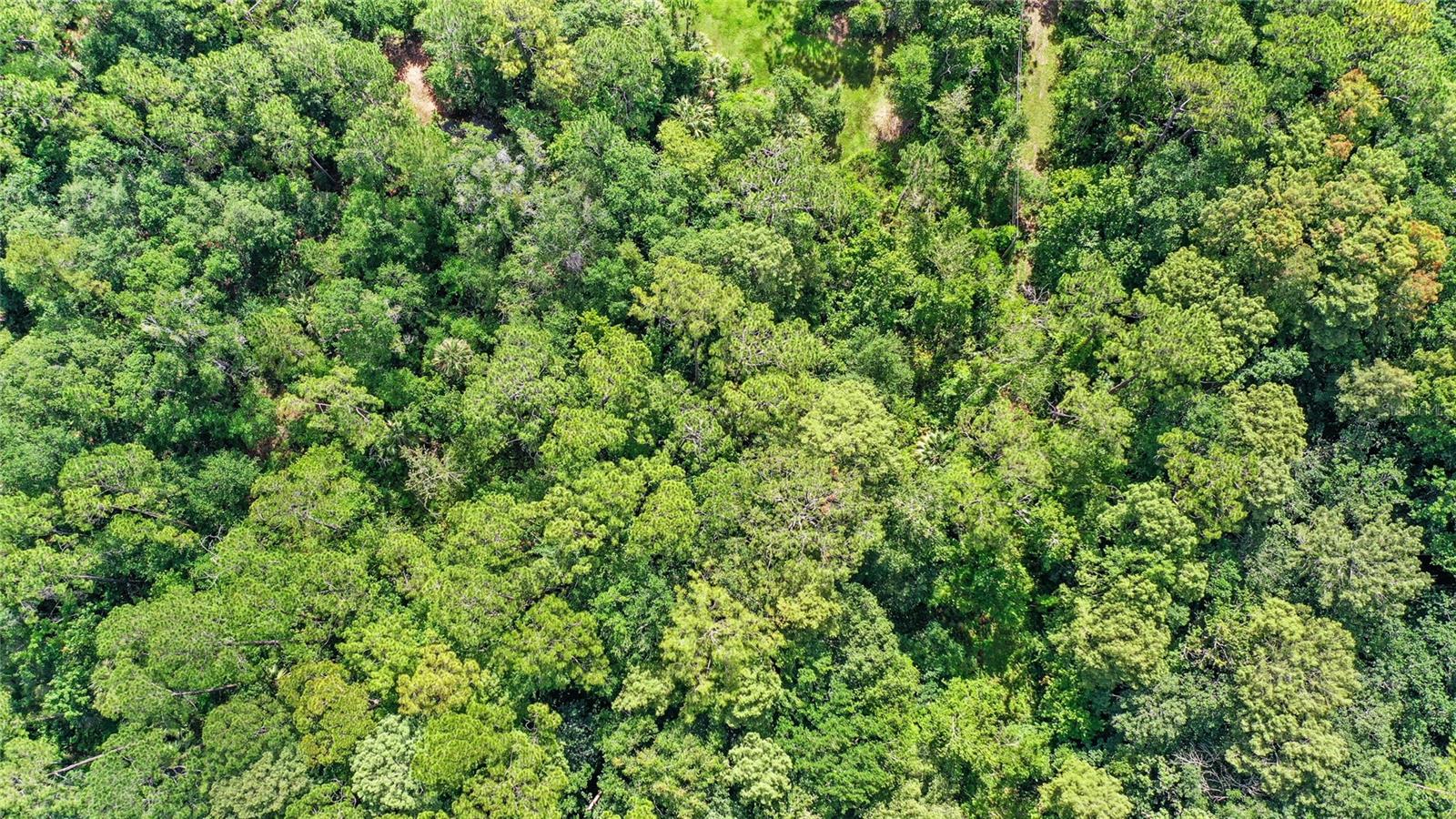 HAPPY TRAILS UNITS 1 & 2 UNREC - Land