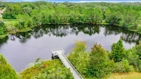 A home in LAND O LAKES