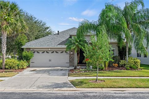 A home in LAND O LAKES