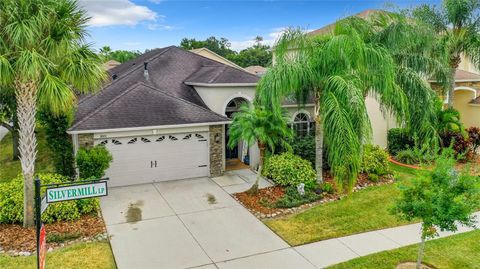 A home in LAND O LAKES