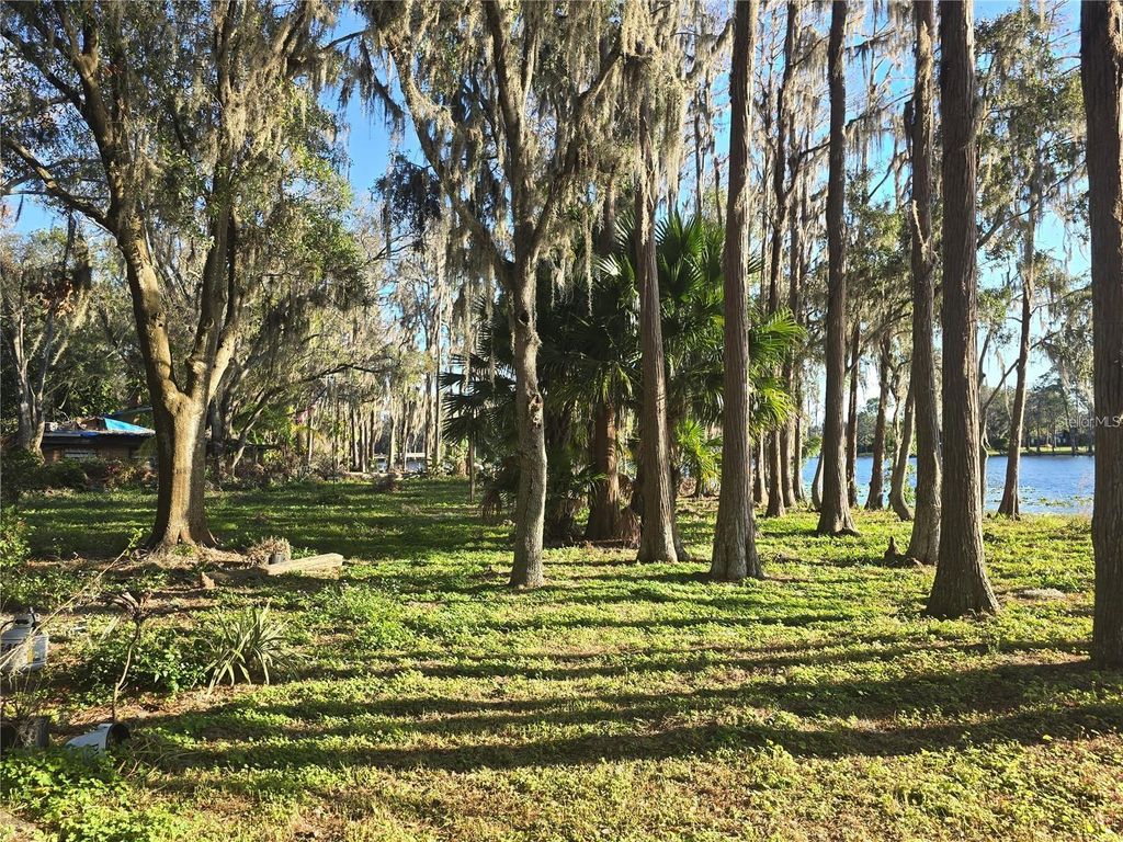 Photo of 18886 Crescent Road, Odessa, FL 33556 (MLS # TB8406411)