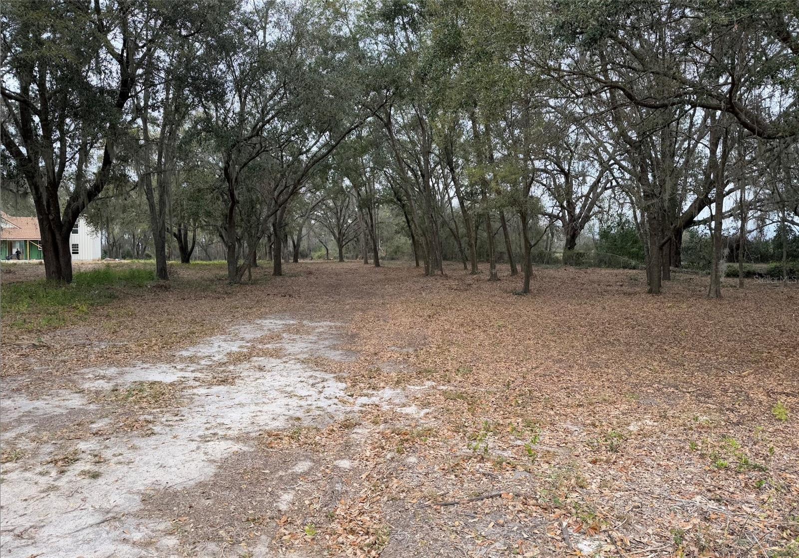 GROVELAND FARMS 17-23-25 - Land