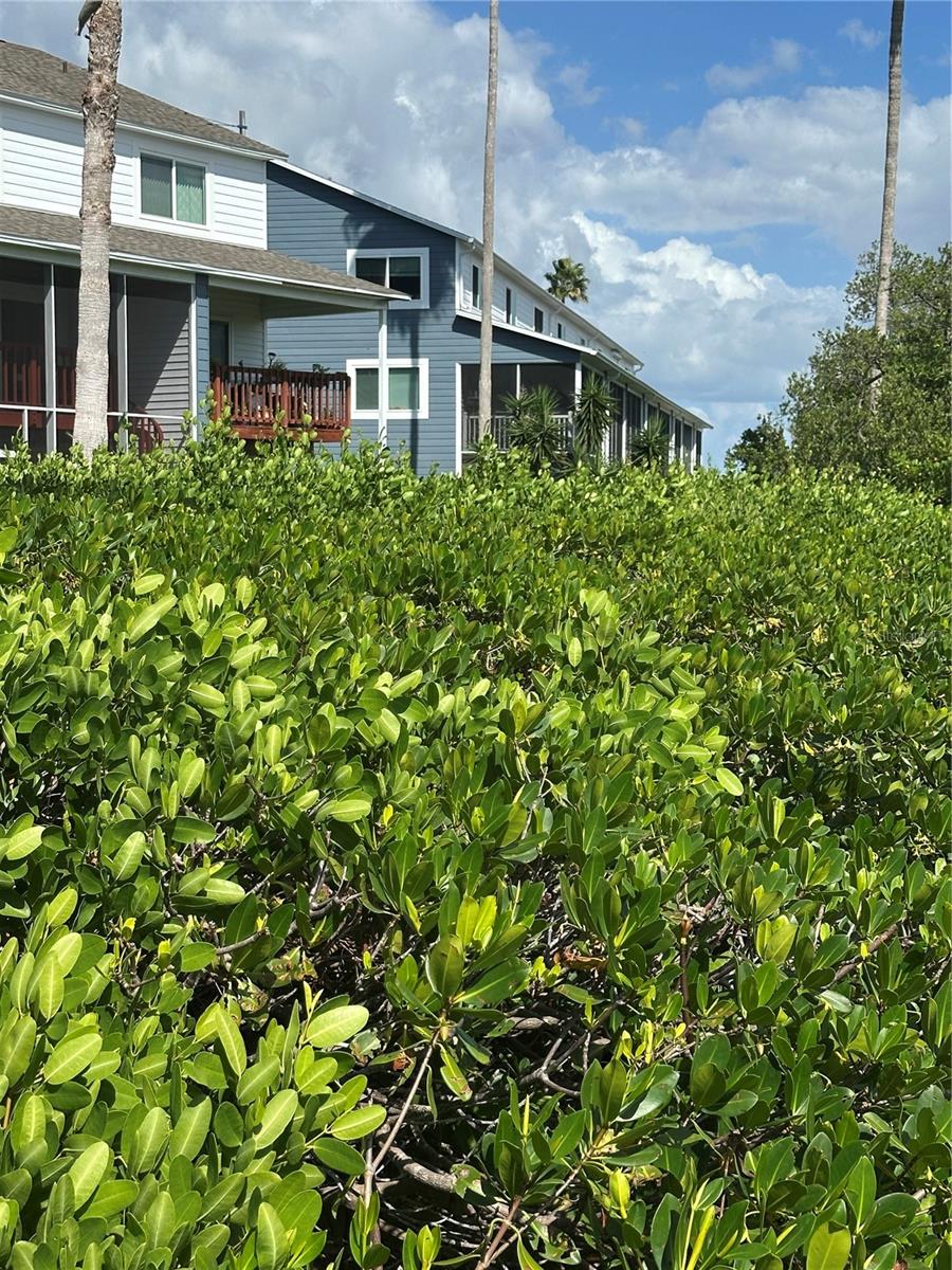 HIDDEN HARBOUR - Residential Lease