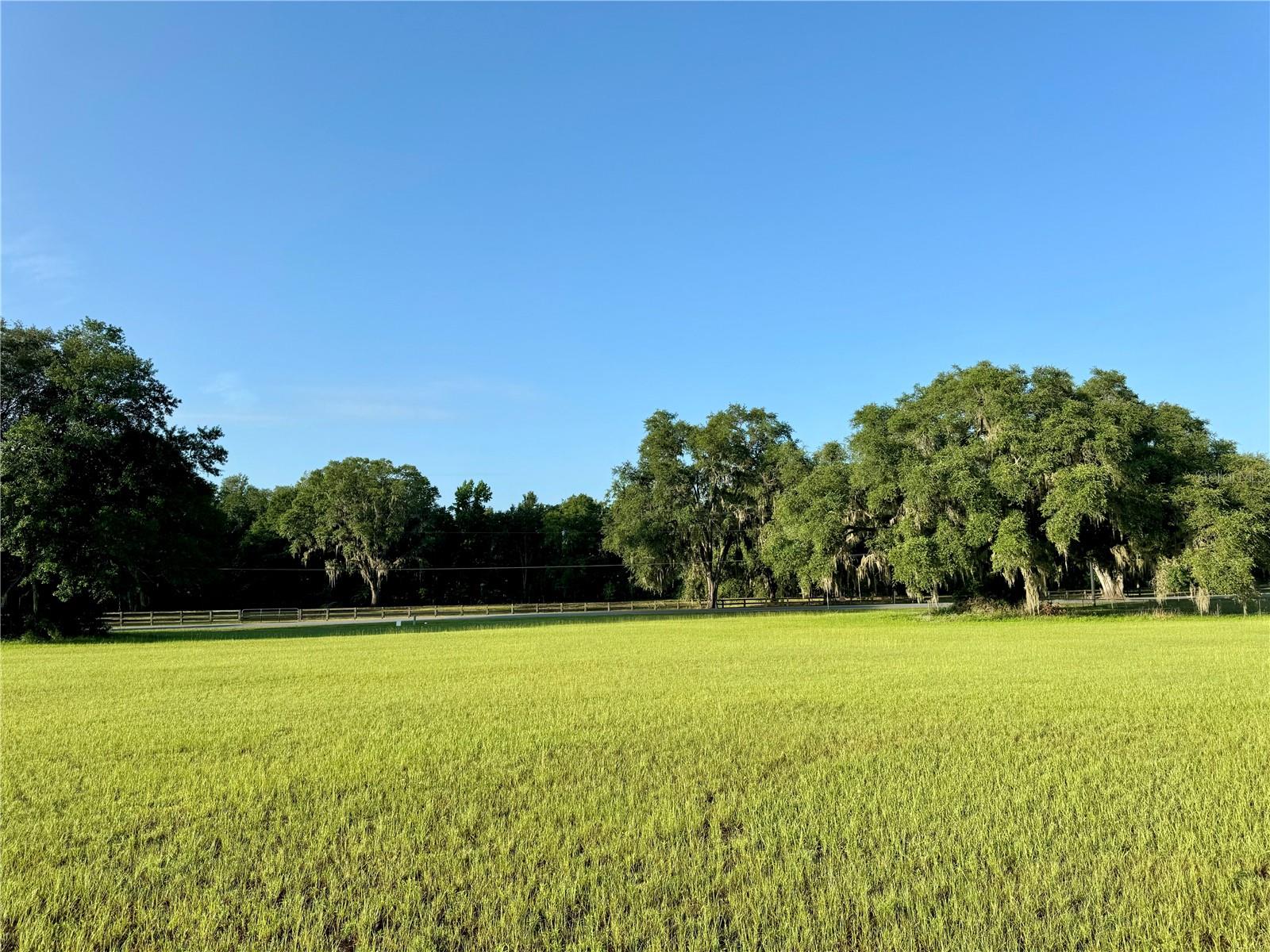 Prime 1.14-acre lot in charming Russwood Estates – One of the last remaining! Welcome to one of the final opportunities to build your dream home in Russwood Estates, one of Lake City's most desirable and well-established neighborhoods. This spacious 1.14-acre lot is nestled among custom-built homes, offering the perfect canvas for your dream home, and offers the perfect combination of tranquility, space, and convenience! Whether you're ready to build now or invest in a valuable piece of North Florida real estate, this is the ideal location. This property provides: Cleared lot, paved road frontage, peaceful neighborhood with pride of ownership, convenient to I-75, downtown Lake City, schools, golf courses, shopping & medical centers, and no HOA fees! Contact today before this gem is gone! FUN FACT: The Live Oak tree you see here is estimated to be 230 plus years old! Dating back to when the first 10 Amendments to the Constitution were ratified in 1791.