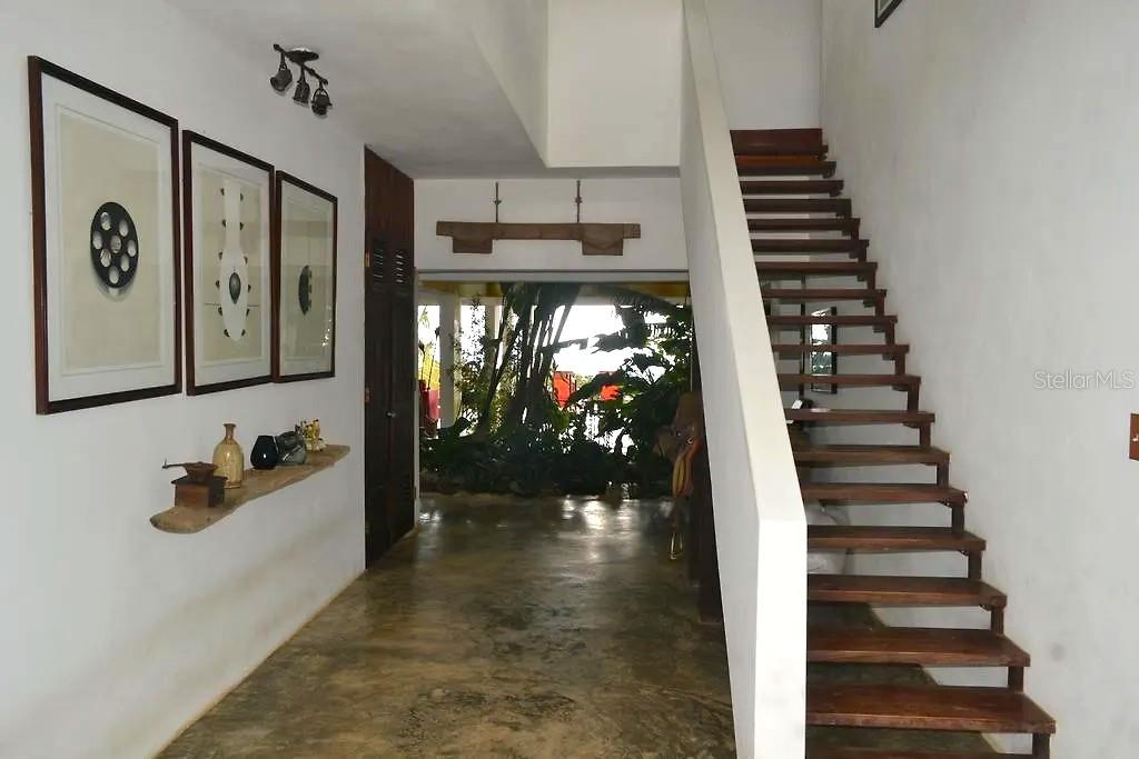 Pitahaya CAMINO LOS POLACOS